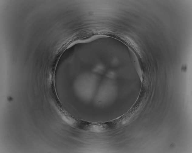 X0000091080405200708201439