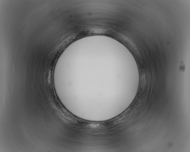 X0000091080406200708201439