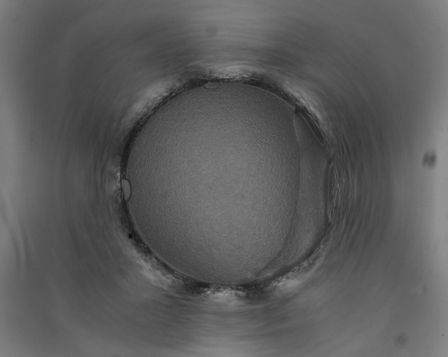 X0000091080407200708201439