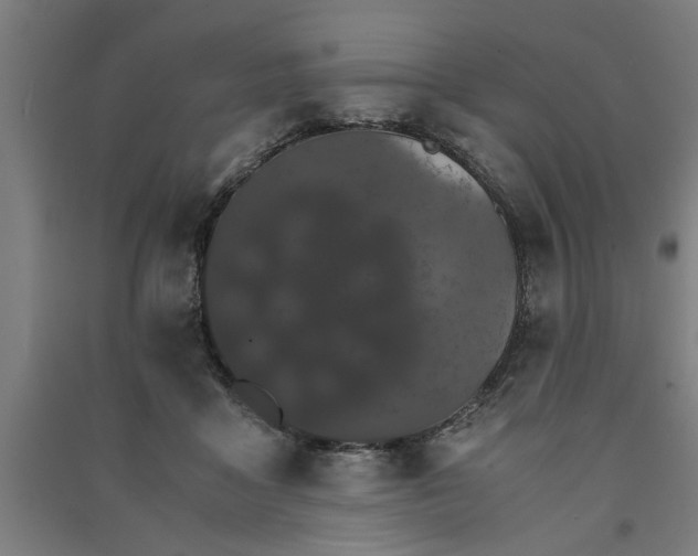 X0000091080411200708201439