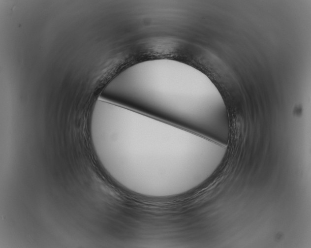 X0000091080412200708201439