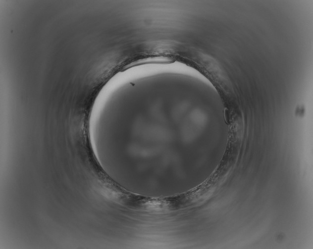 X0000091080415200708201438