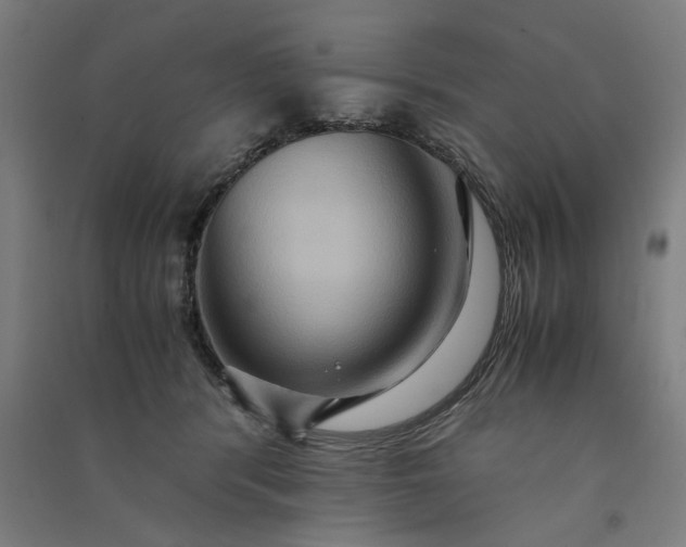 X0000091080416200708201438