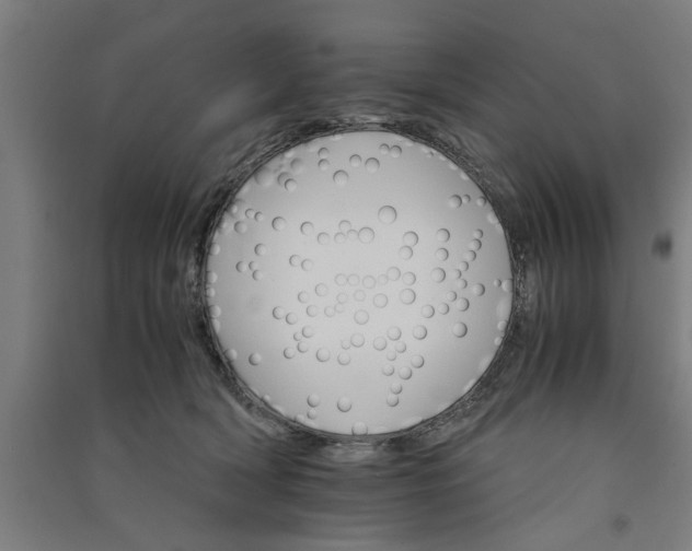 X0000091080418200708201438