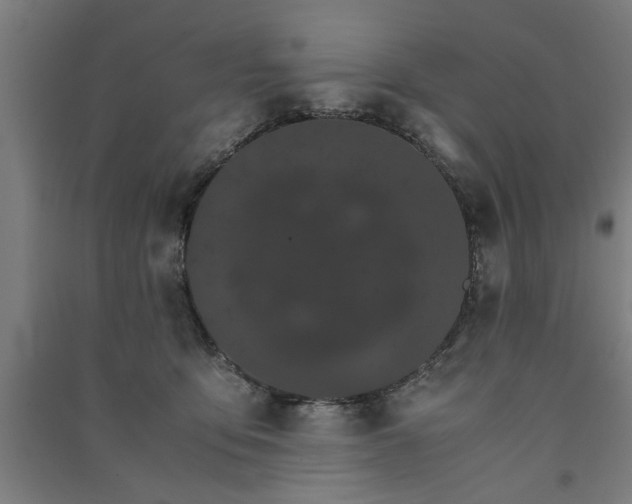 X0000091080419200708201438