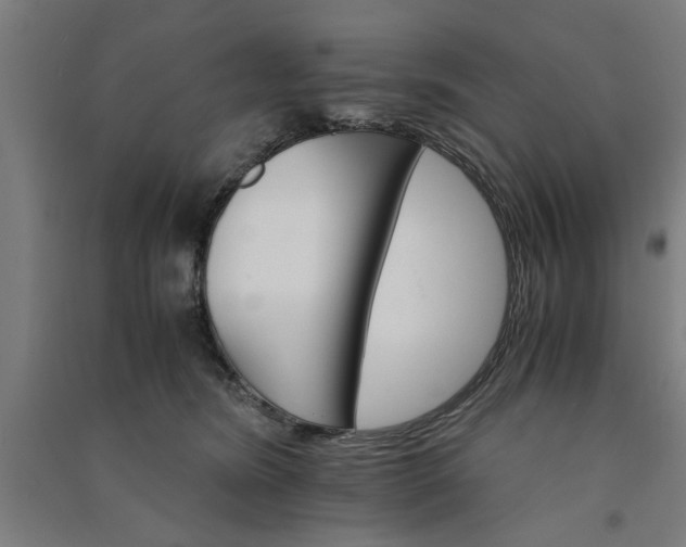 X0000091080420200708201438