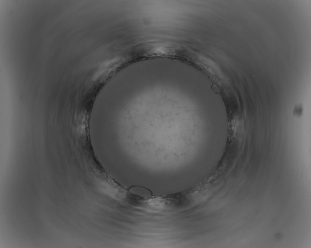 X0000091080423200708201438