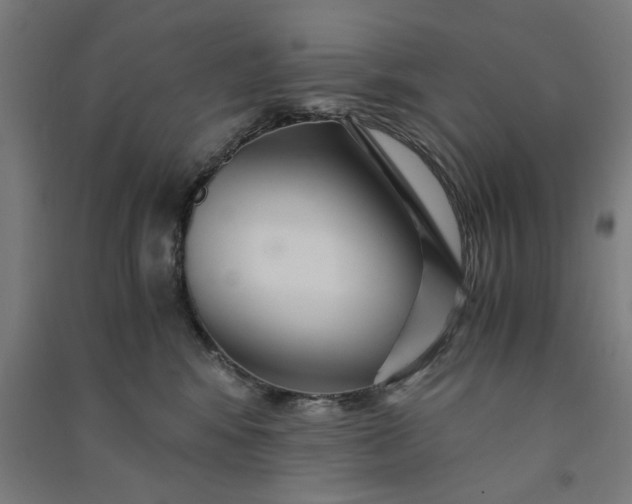 X0000091080424200708201438