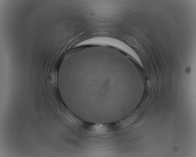 X0000091080425200708201438