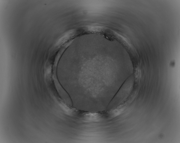 X0000091080428200708201438