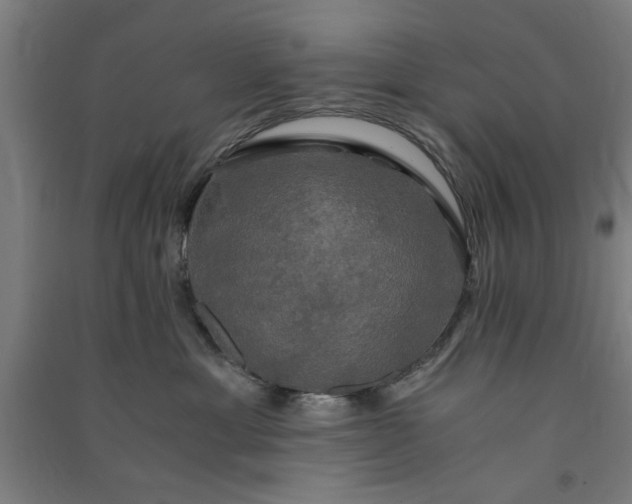 X0000091080429200708201438