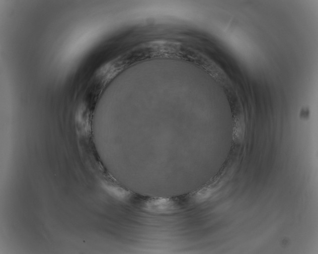 X0000091080431200708201438