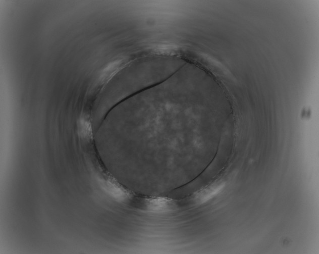 X0000091080432200708201438