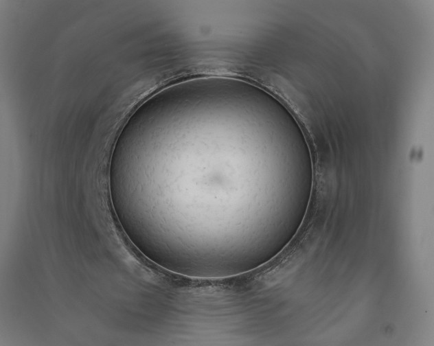 X0000091080433200708201437