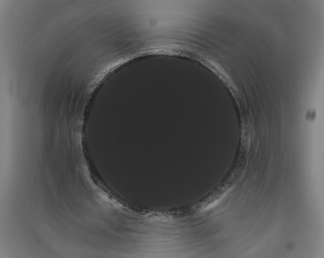 X0000091080434200708201437