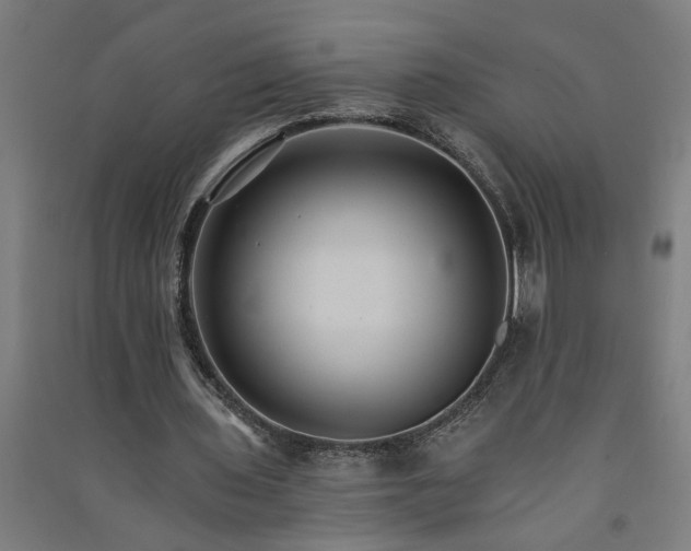 X0000091080435200708201437