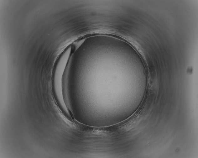 X0000091080437200708201437