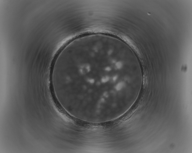 X0000091080438200708201437