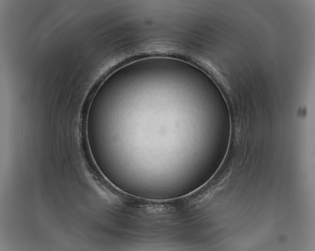 X0000091080439200708201437