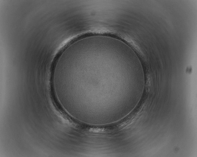 X0000091080440200708201437