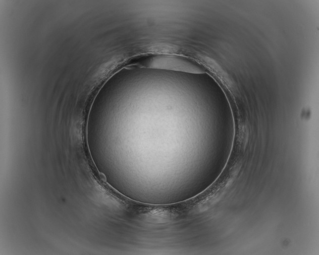 X0000091080441200708201437