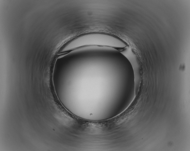 X0000091080442200708201437