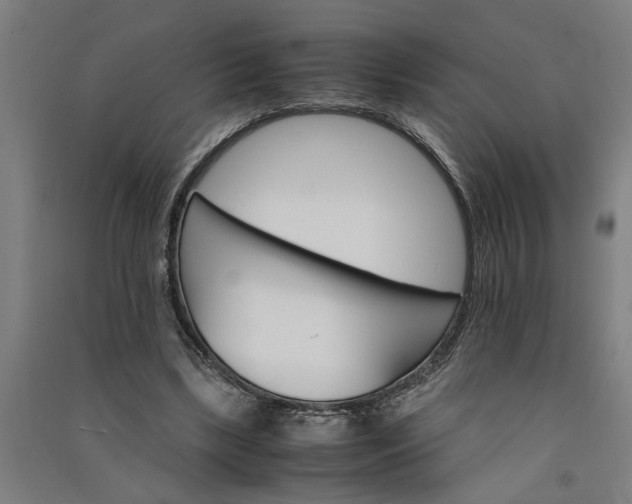 X0000091080443200708201437