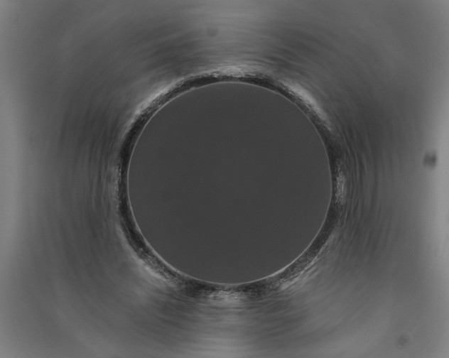 X0000091080444200708201437