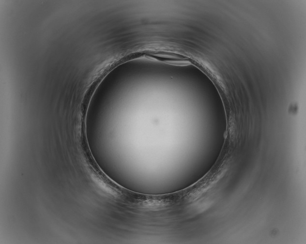 X0000091080445200708201437