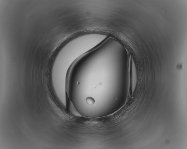 X0000091080448200708201438