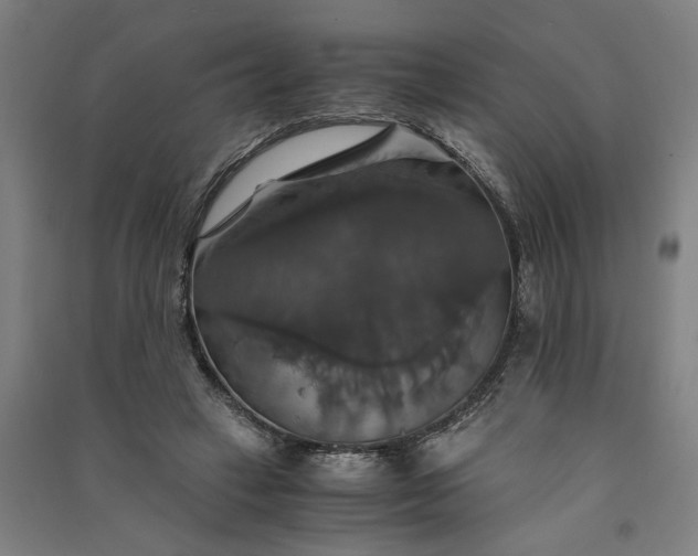 X0000091080449200708201438