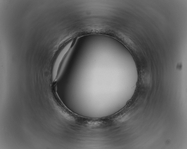 X0000091080450200708201438