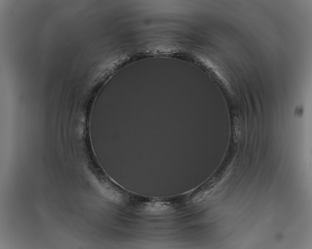 X0000091080451200708201438