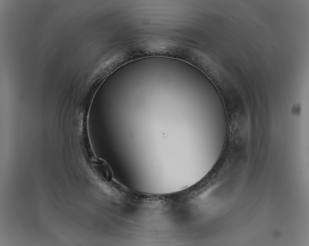 X0000091080454200708201438