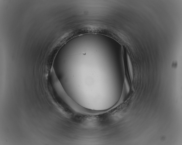 X0000091080456200708201438