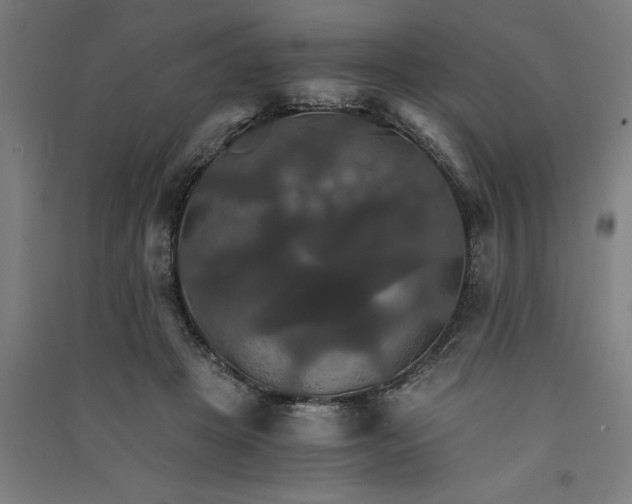 X0000091080457200708201438