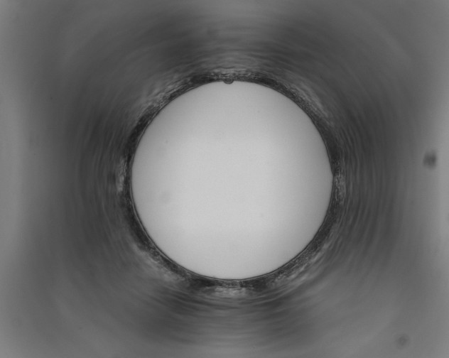 X0000091080458200708201438