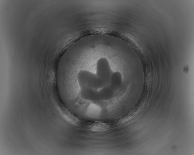 X0000091080459200708201438