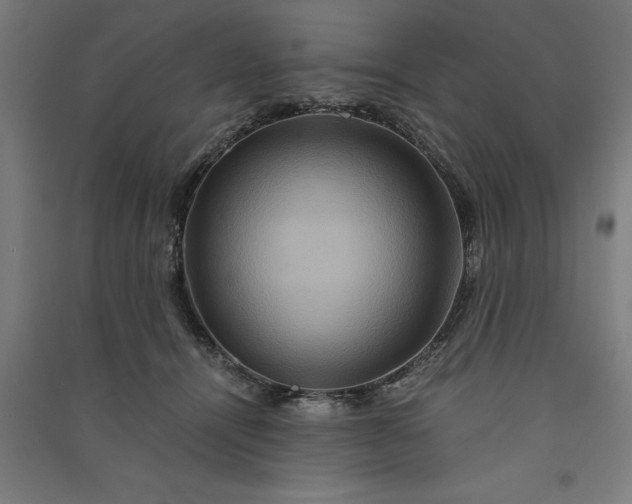 X0000091080464200708201438