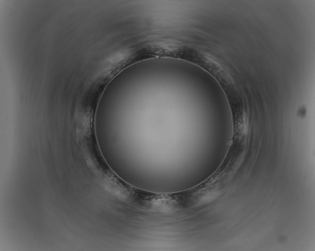 X0000091080468200708201438