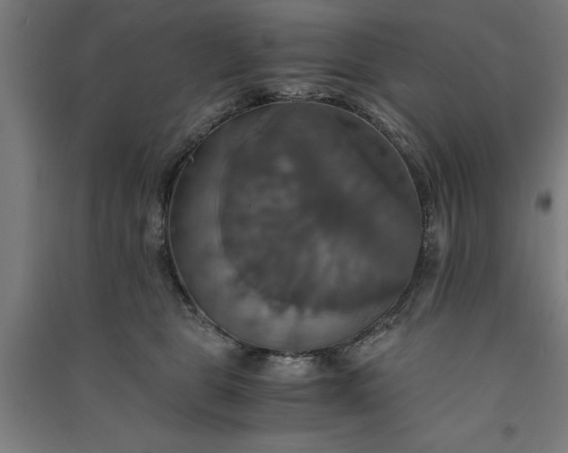 X0000091080469200708201438