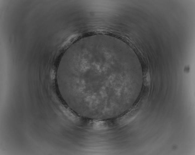 X0000091080472200708201438