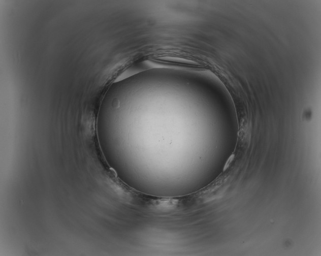 X0000091080474200708201438