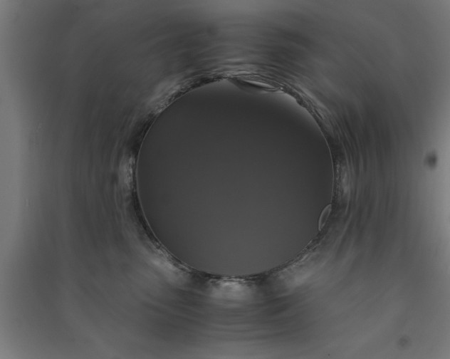 X0000091080475200708201438