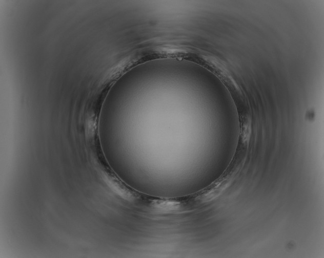 X0000091080476200708201438