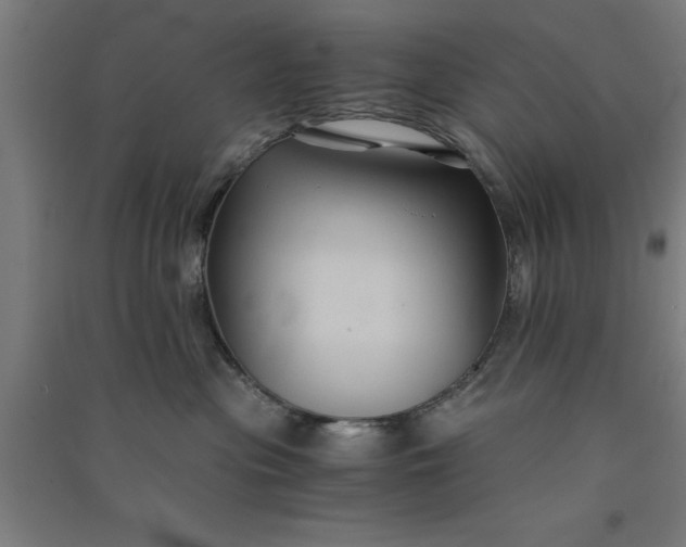 X0000091080477200708201438