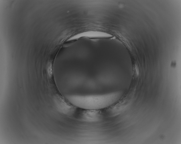 X0000091080479200708201438