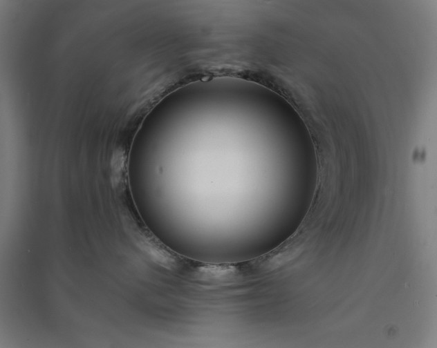 X0000091080480200708201438