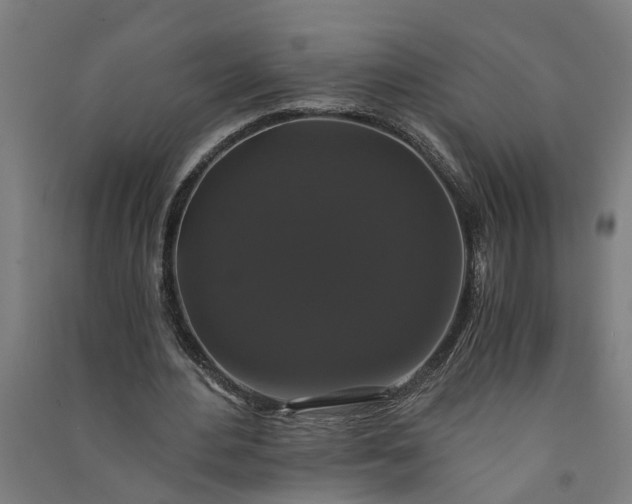 X0000091080484200708201437