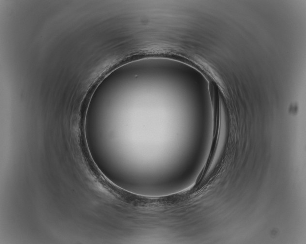 X0000091080485200708201437